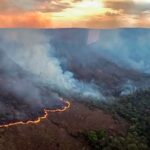 Estudo atualizado pela CNM mostra que mais de 11 milhões de pessoas foram diretamente afetadas por incêndios