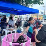 Poá promove campanha de vacinação antirrábica e adoção responsável de cães e gatos nesta sexta-feira (27) no Centro