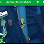 Escola de natação invadida em Poá