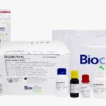 Campinas sedia o Vet em Foco 2026, encontro nacional de especialistas em saúde e diagnóstico animal