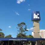 Urbanização descontrolada causa invasão de formigas-de-fogo pelo Brasil e risco à saúde, alerta pesquisa da UMC